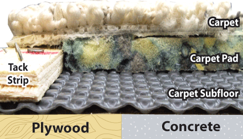 Carpet Anatomy - Dry Cleaning Carpet